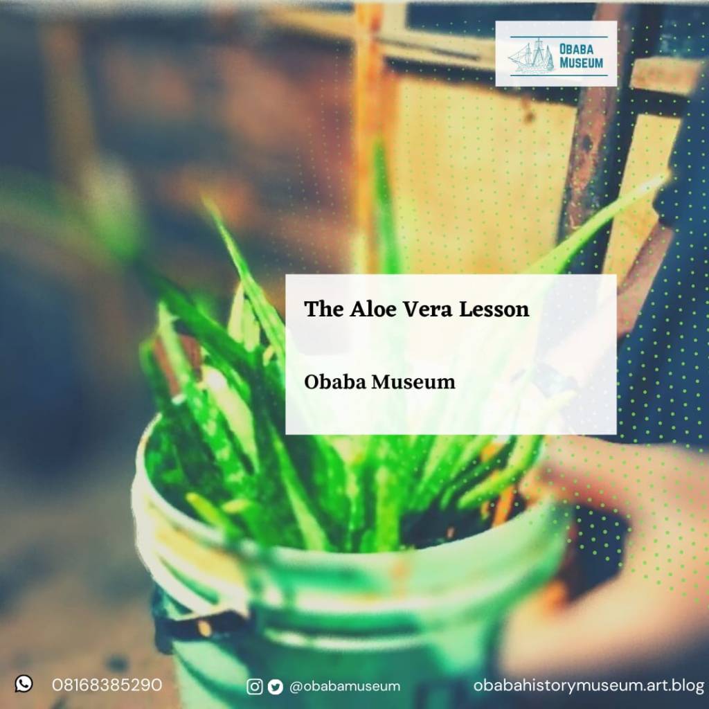 The Aloe Vera&nbsp;Lesson