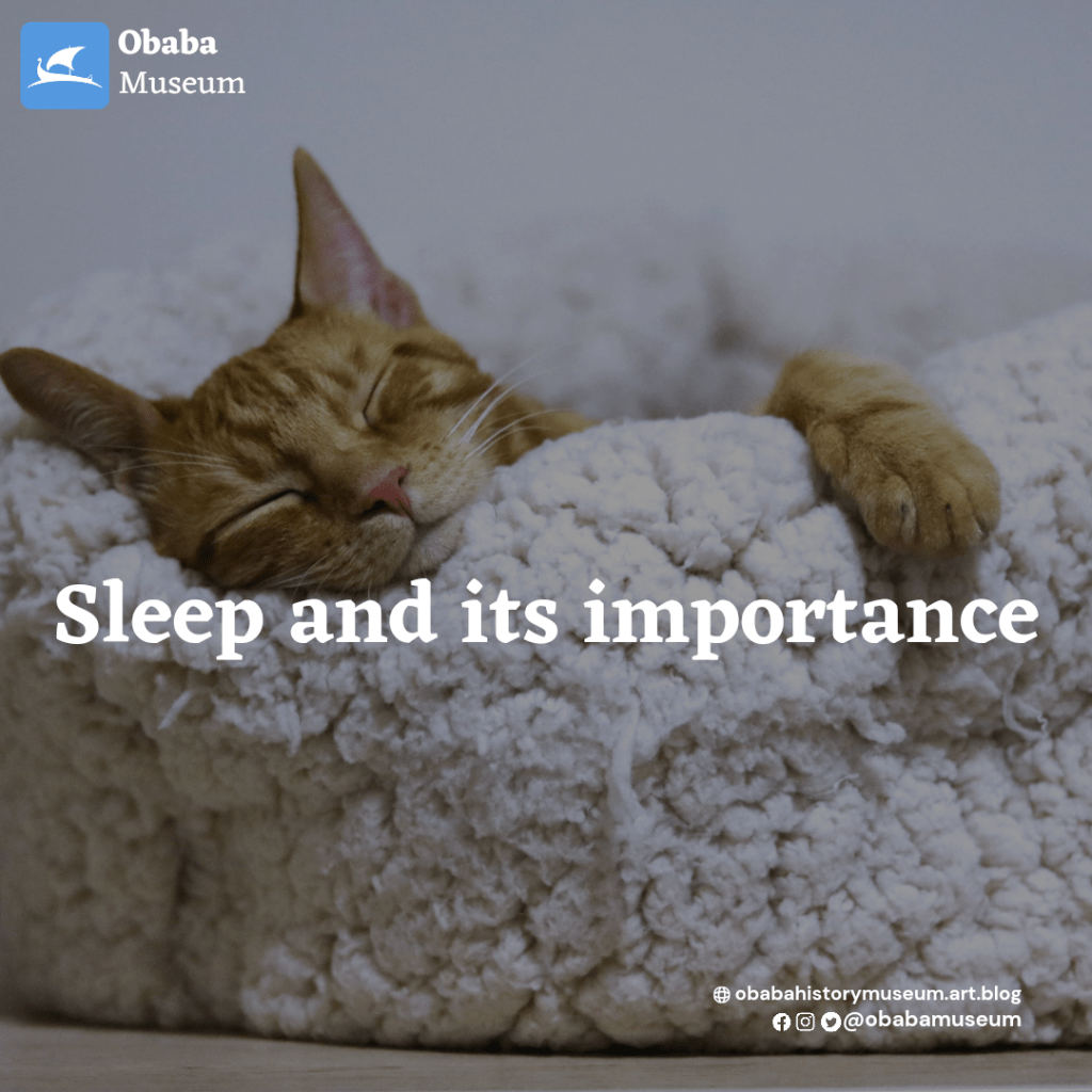 SLEEP AND ITS&nbsp;IMPORTANCE